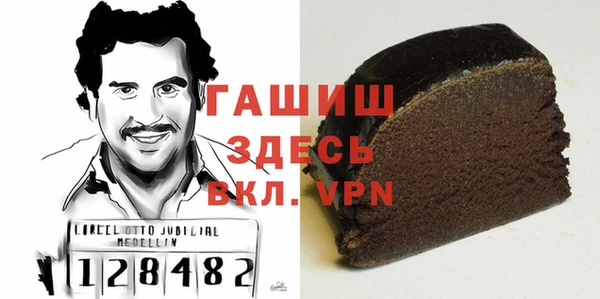 прущие грибы Медногорск