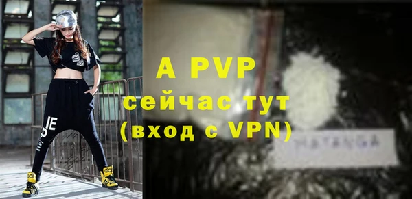 прущие грибы Медногорск