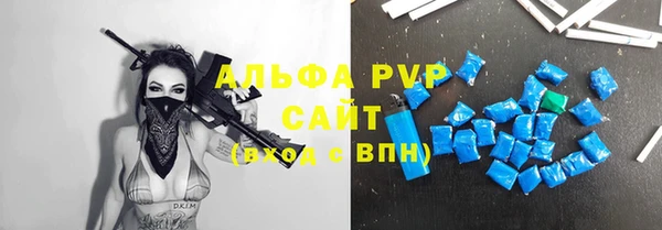 стаф Дмитровск