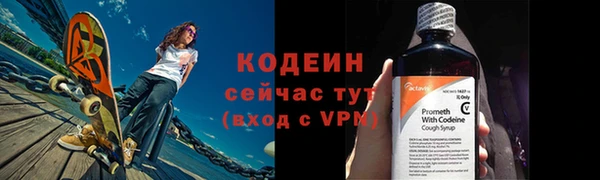 прущие грибы Медногорск