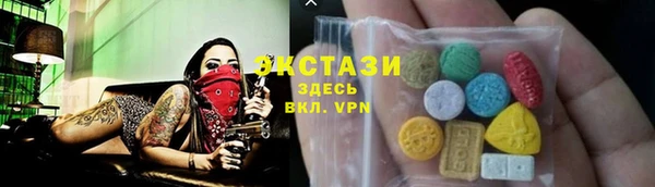 стаф Дмитровск