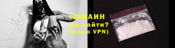 гидра Мегион