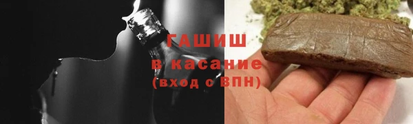 стаф Дмитровск