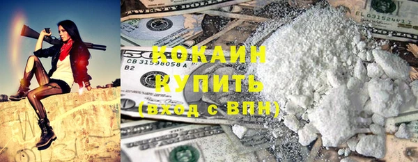 стаф Дмитровск