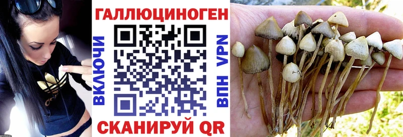 купить наркотики сайты  Жуковка  Псилоцибиновые грибы прущие грибы 